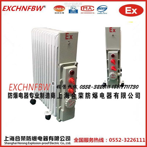 防爆电暖器9 500w11 2000w13片2500w取暖器220v防爆电热油汀